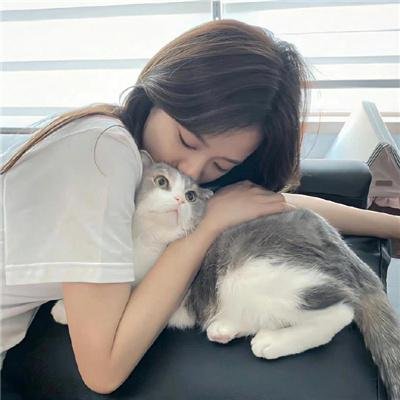 水牛骑士