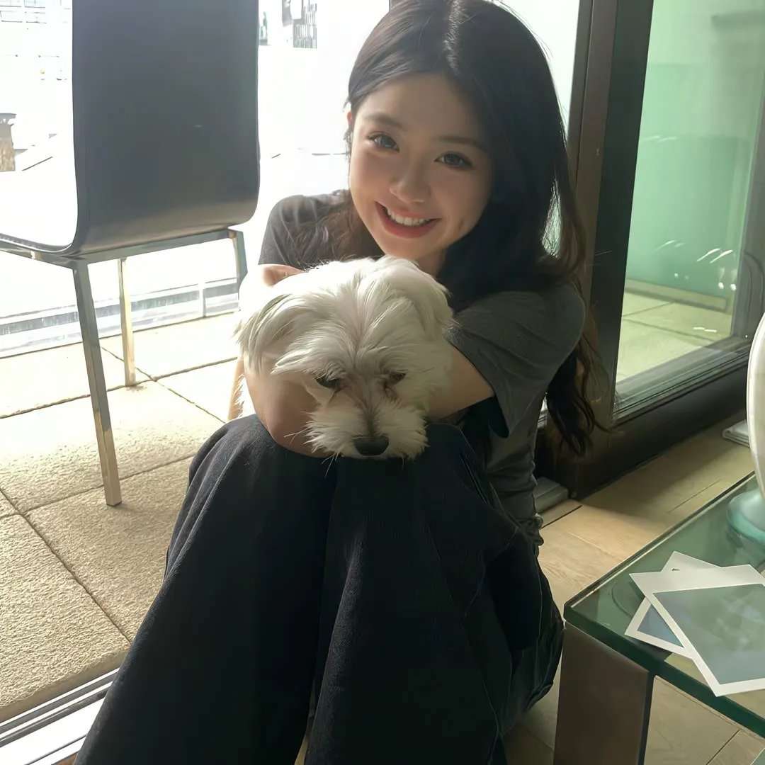 囧途囧行