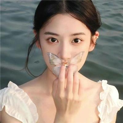 莫丽的朝圣